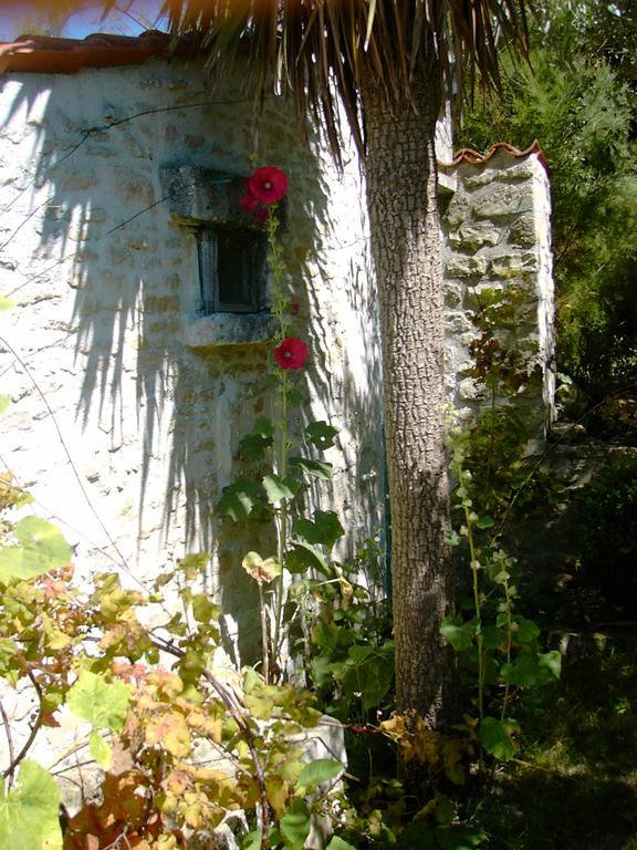 Les Jardins Saint Leonard Hotel Thairé Zewnętrze zdjęcie